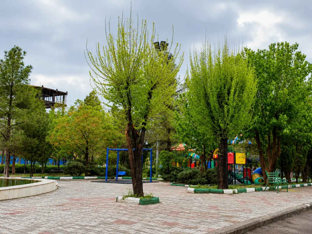 نمایی از فضای سبز و محوطه پارک سعدی، یکی از گزینه‌های بهترین پارک سیرجان