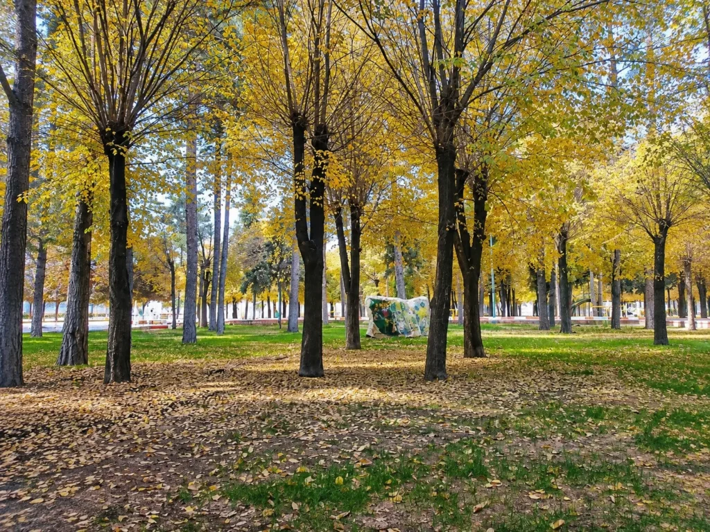 نمایی از پارک ۱۷ شهریور، یکی از گزینه‌های بهترین پارک سیرجان